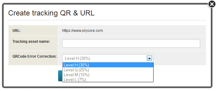 error correction level options