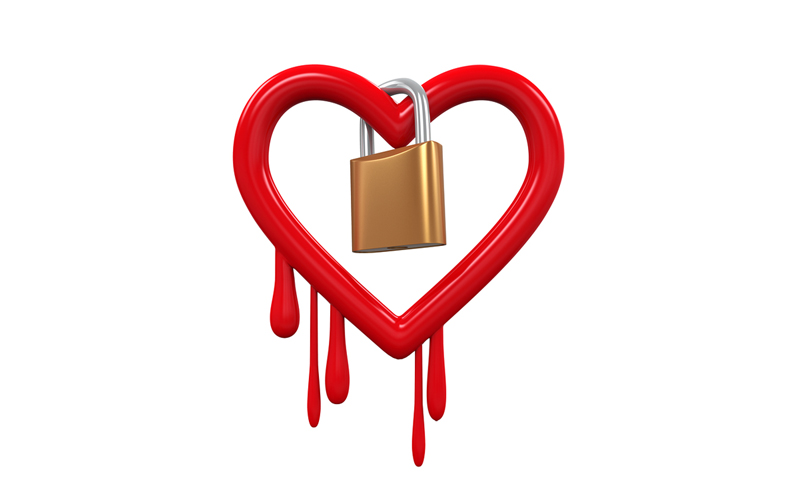 heartbleed vulnerability assessment
