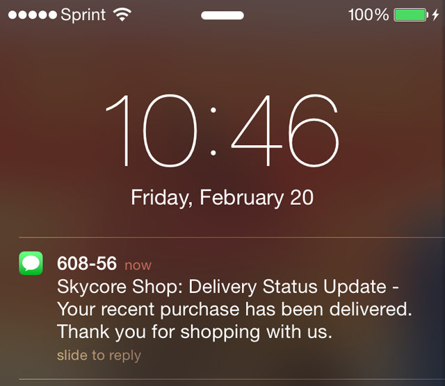 Message Example skycore shop message preview