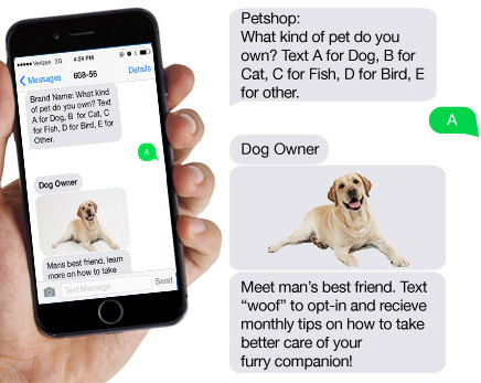 SMS Data Collection Text Message Marketing
