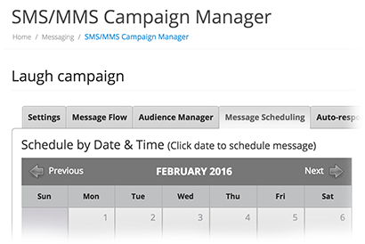 Campaign Manager screenshot of text messaging software for opt-ins